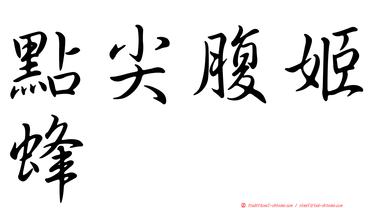 點尖腹姬蜂
