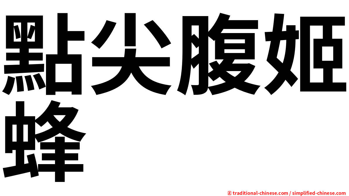 點尖腹姬蜂