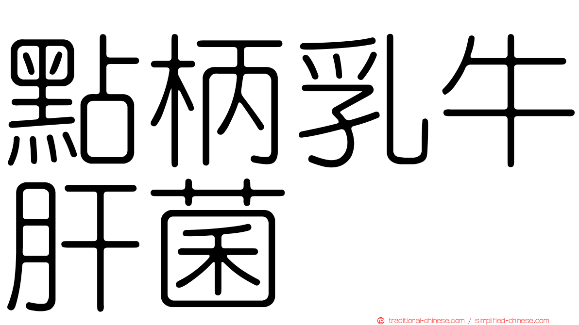 點柄乳牛肝菌
