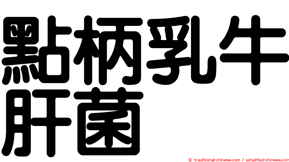 點柄乳牛肝菌