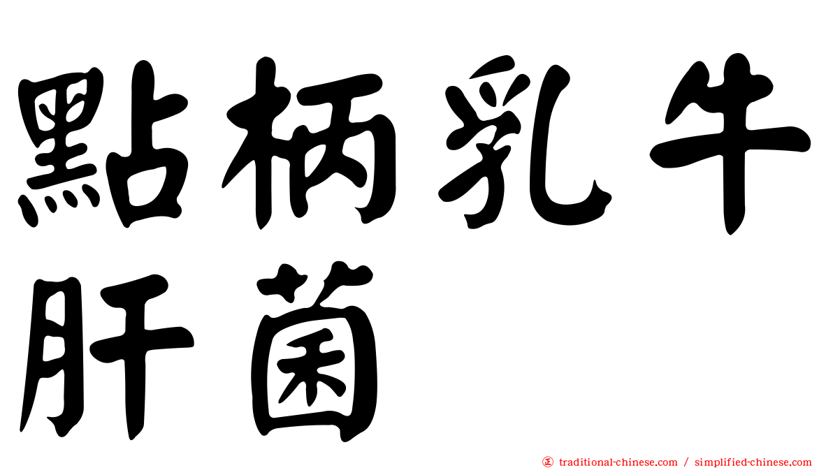 點柄乳牛肝菌