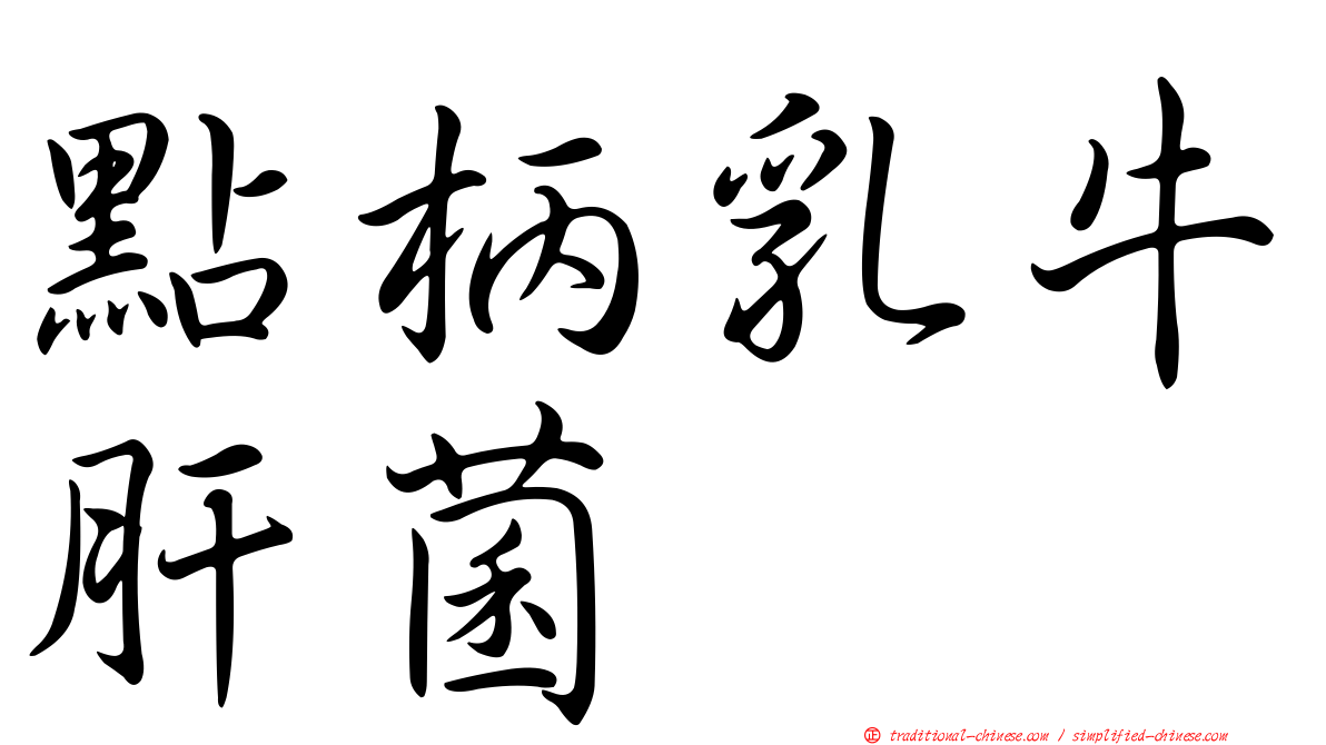 點柄乳牛肝菌