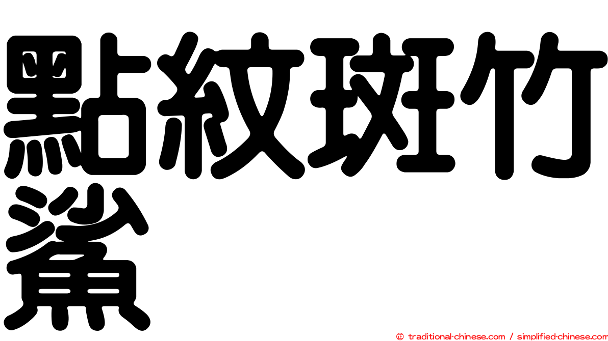 點紋斑竹鯊