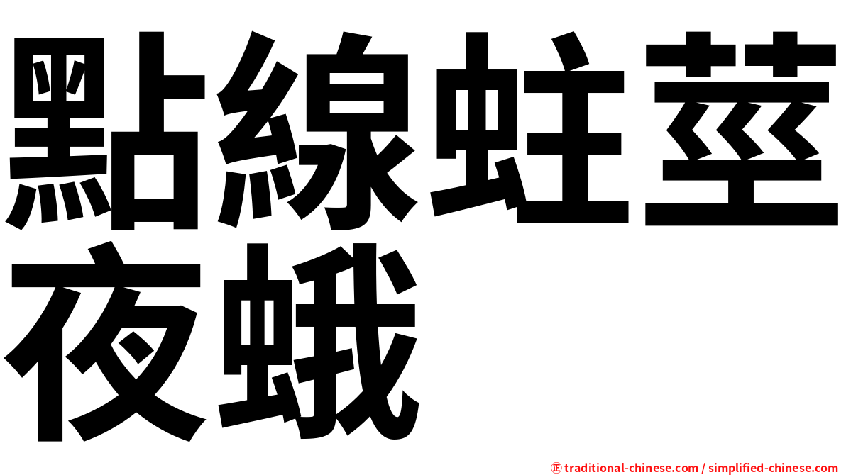 點線蛀莖夜蛾