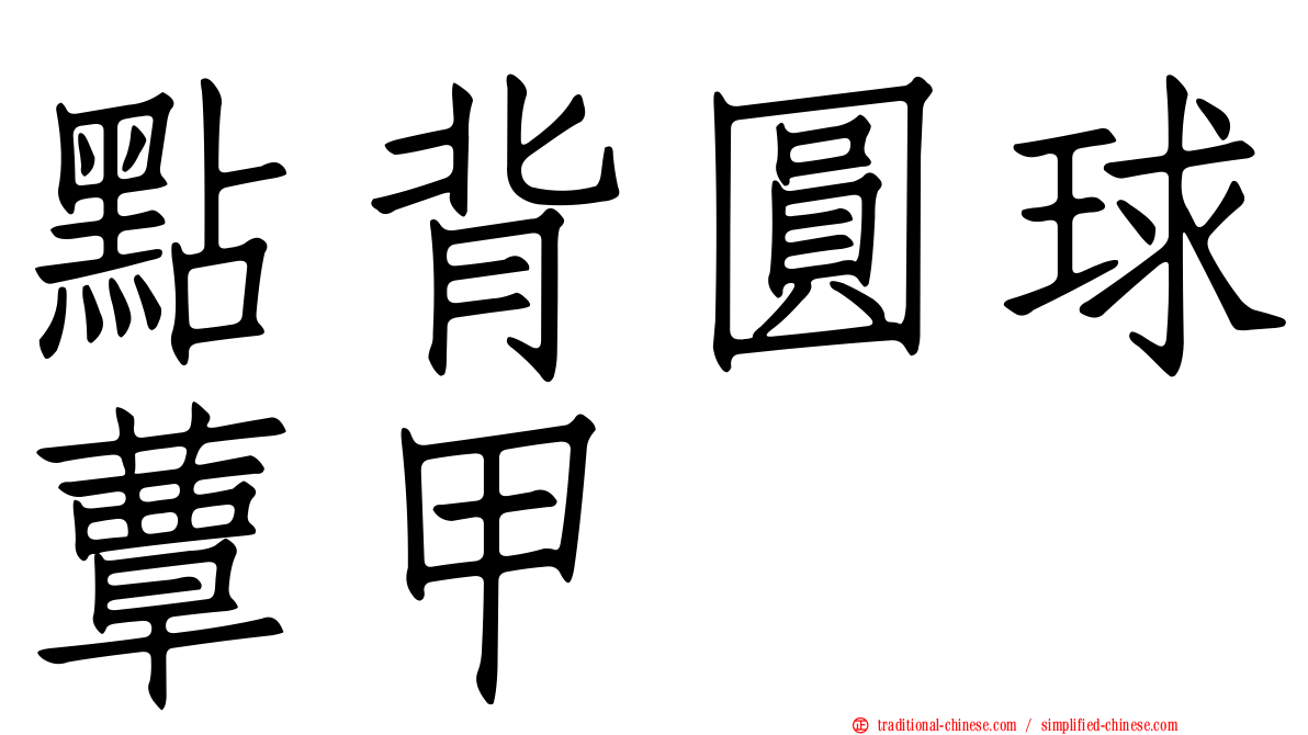 點背圓球蕈甲