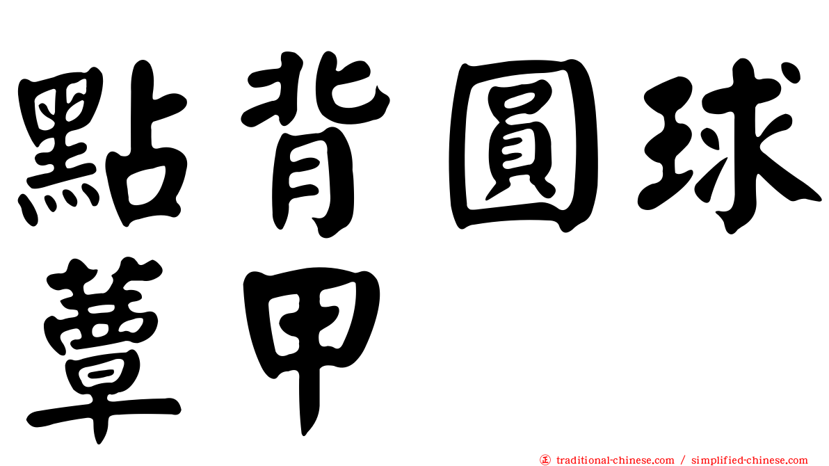 點背圓球蕈甲