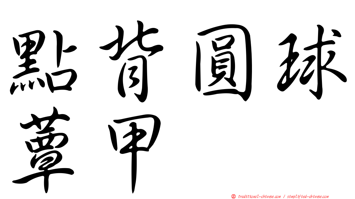 點背圓球蕈甲