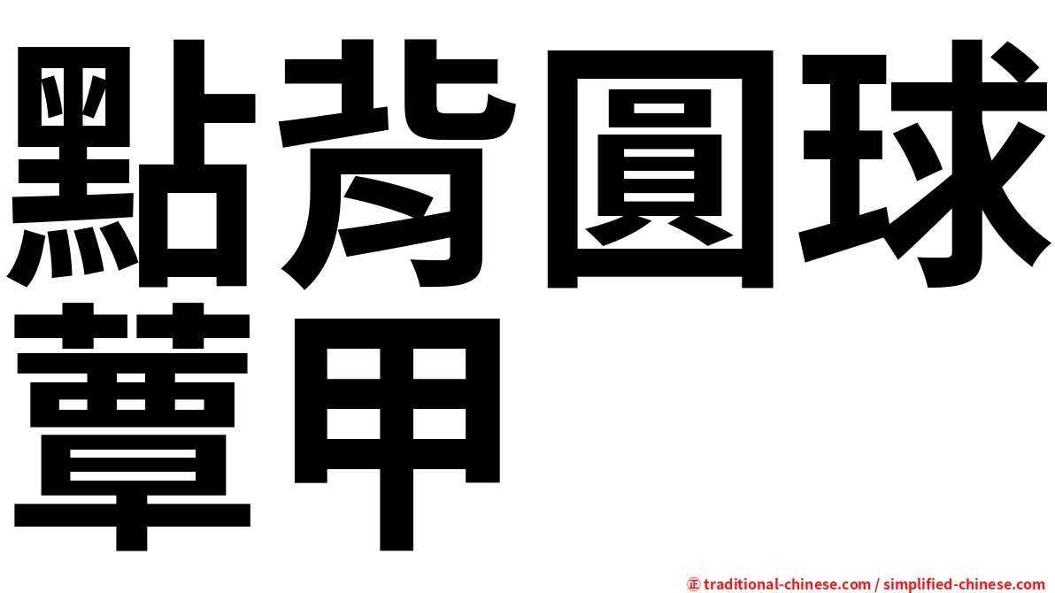 點背圓球蕈甲