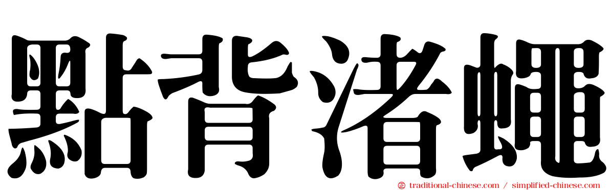 點背渚蠅