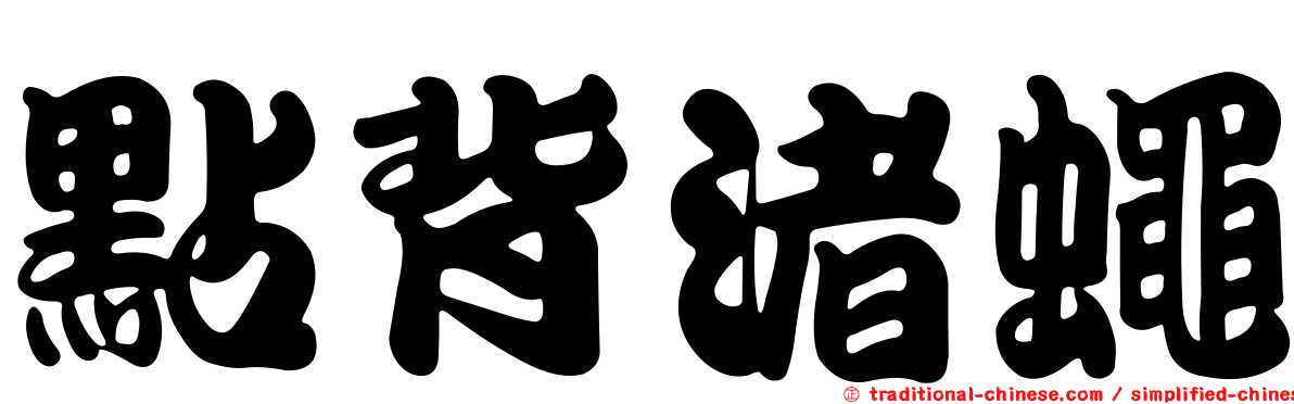 點背渚蠅