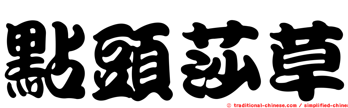 點頭莎草