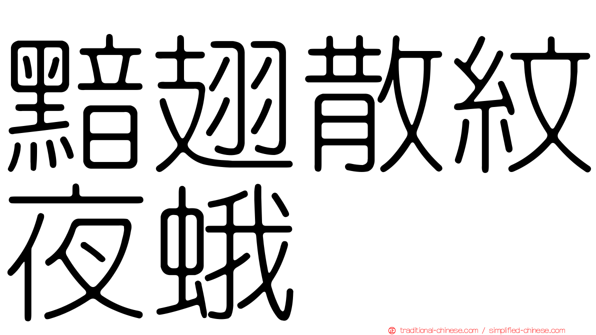 黯翅散紋夜蛾