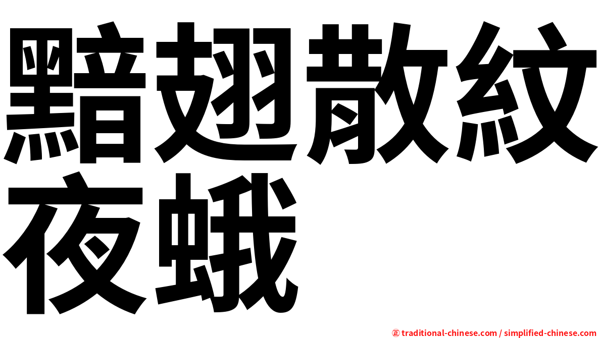 黯翅散紋夜蛾