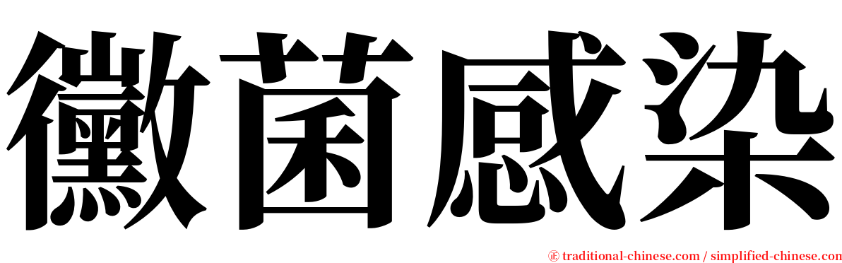 黴菌感染 serif font