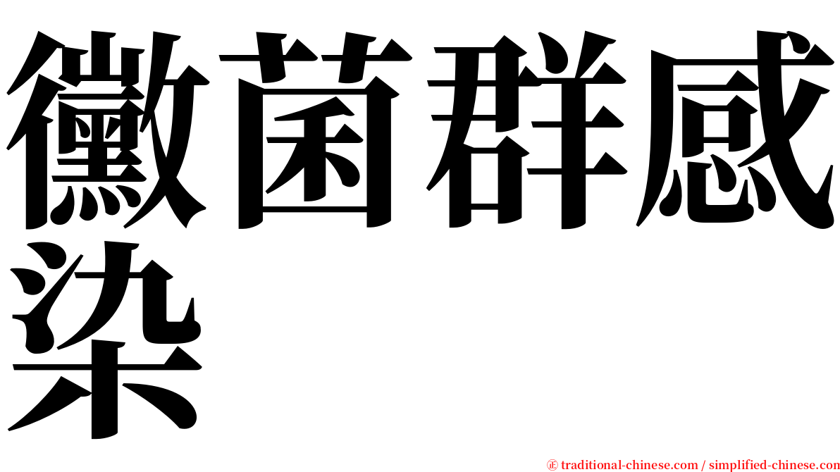 黴菌群感染 serif font