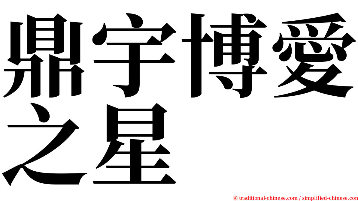 鼎宇博愛之星 serif font