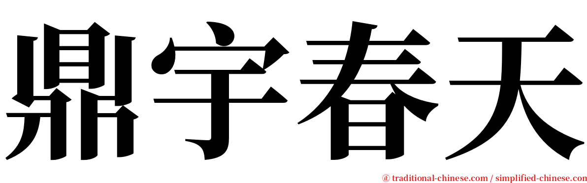 鼎宇春天 serif font