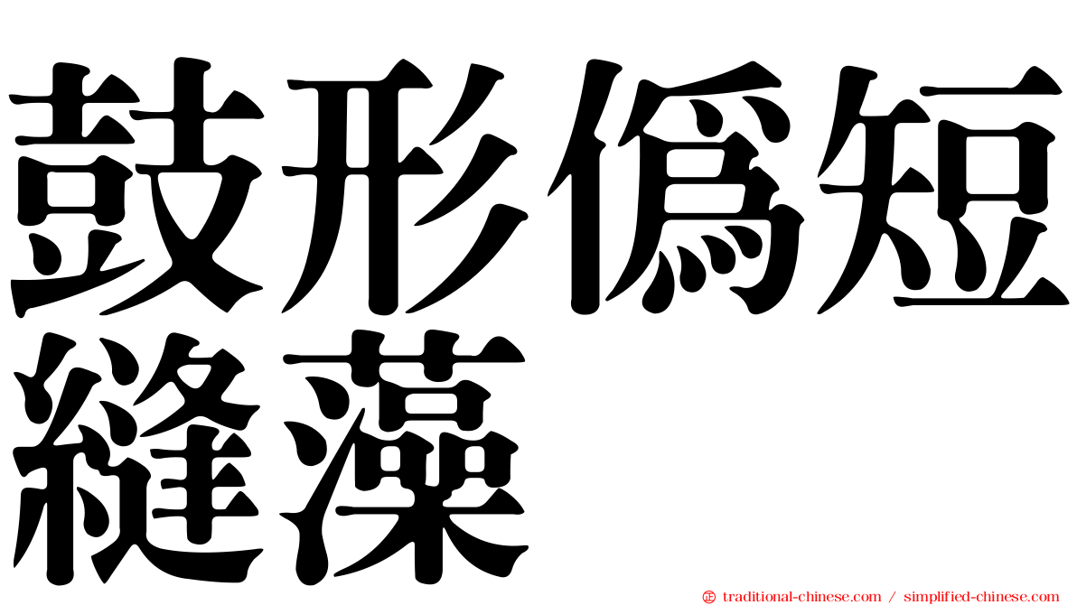 鼓形偽短縫藻