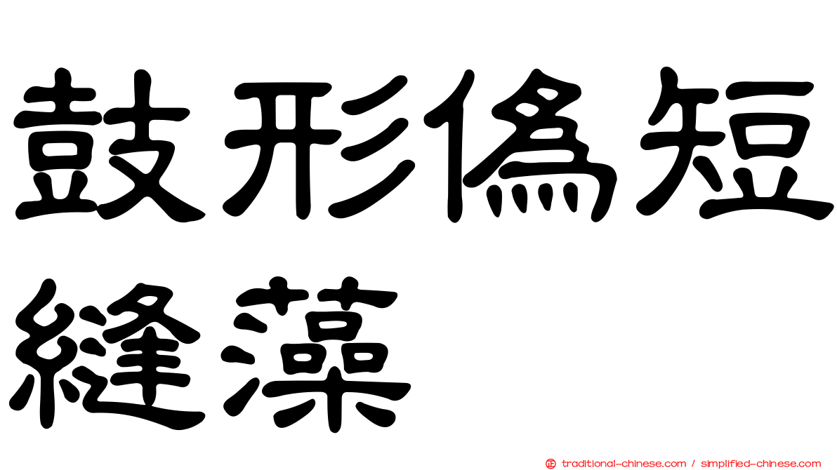 鼓形偽短縫藻