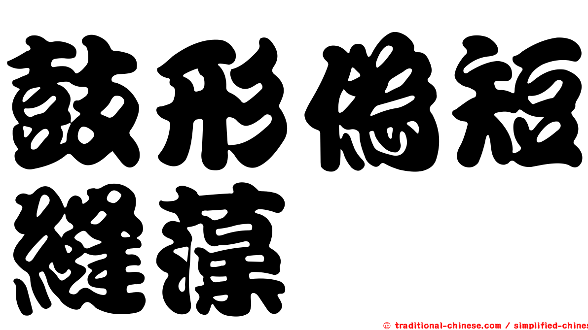 鼓形偽短縫藻