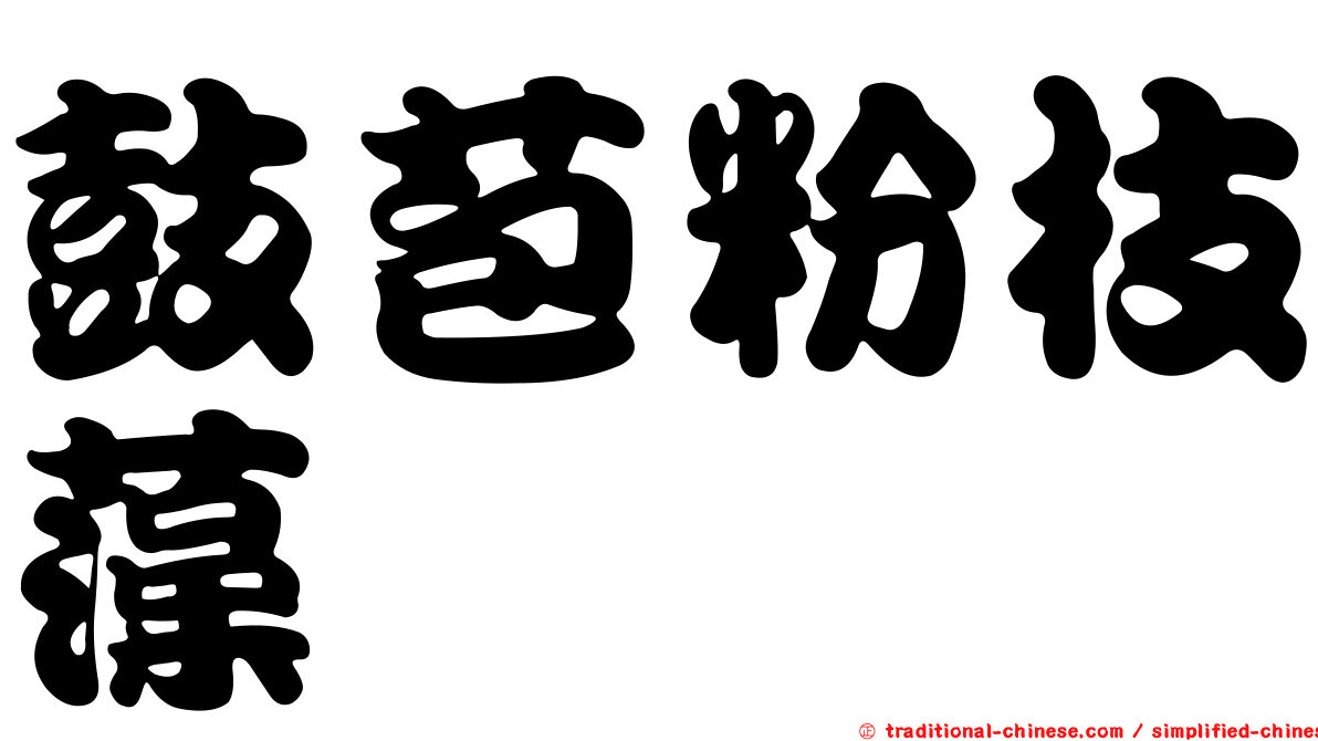 鼓苞粉枝藻