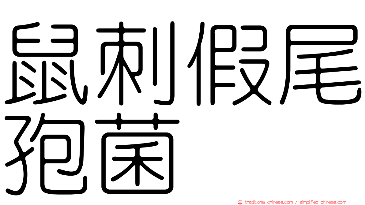 鼠刺假尾孢菌