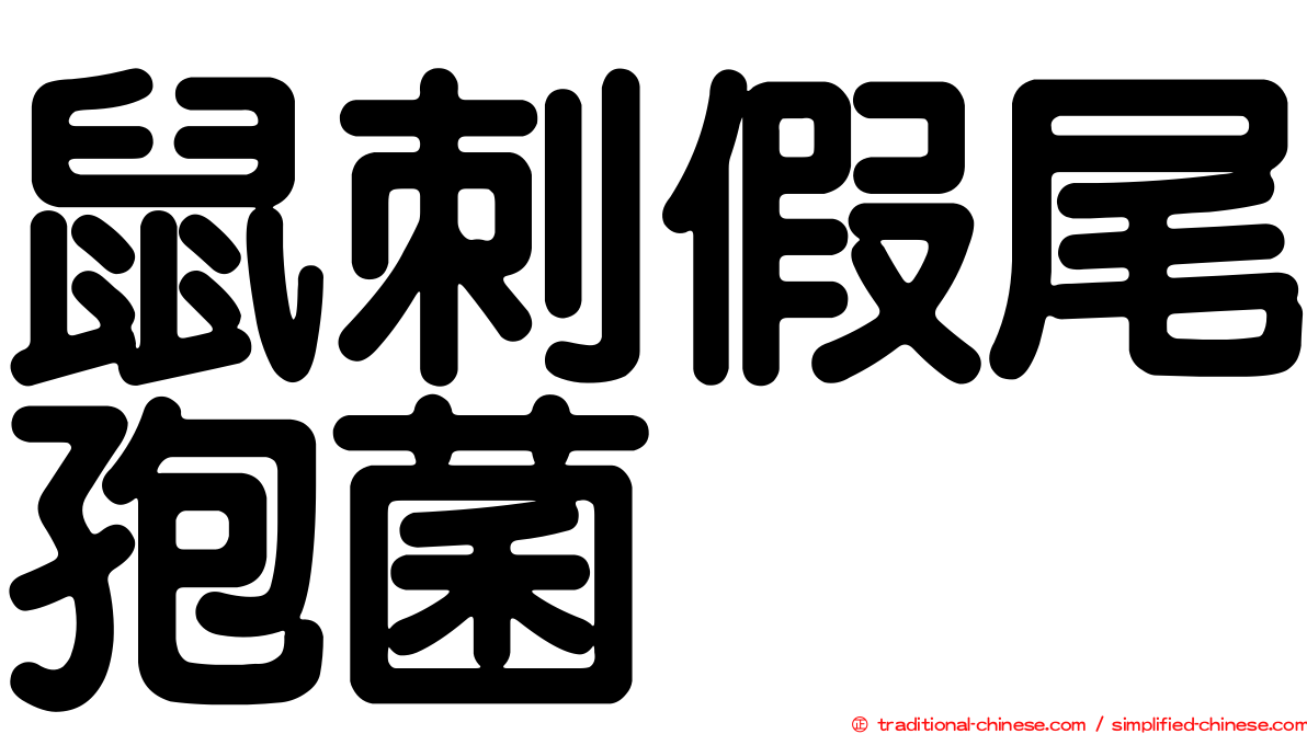 鼠刺假尾孢菌
