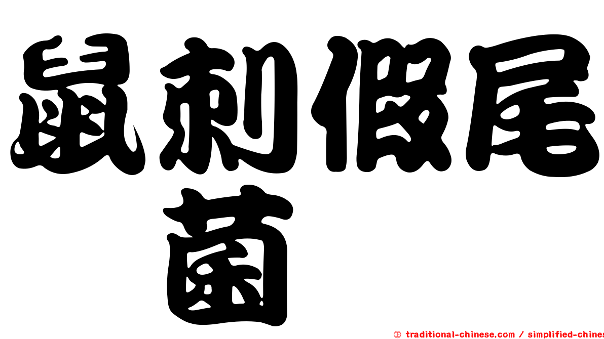 鼠刺假尾孢菌