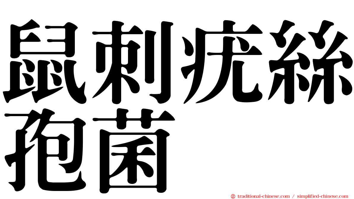 鼠刺疣絲孢菌