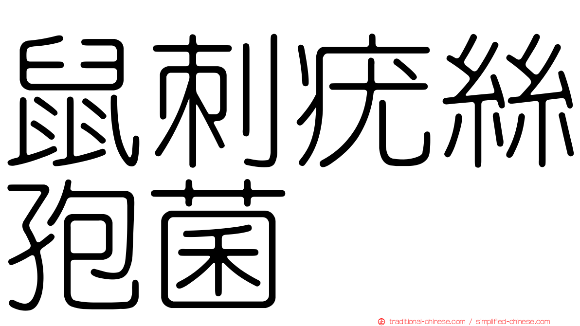 鼠刺疣絲孢菌