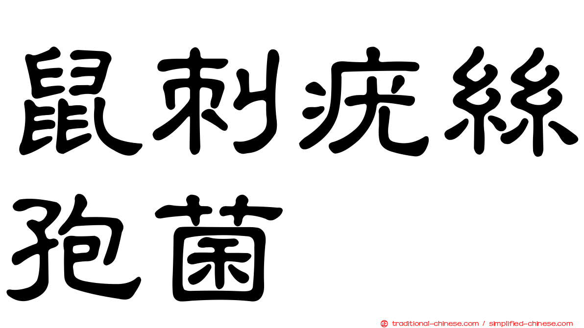 鼠刺疣絲孢菌