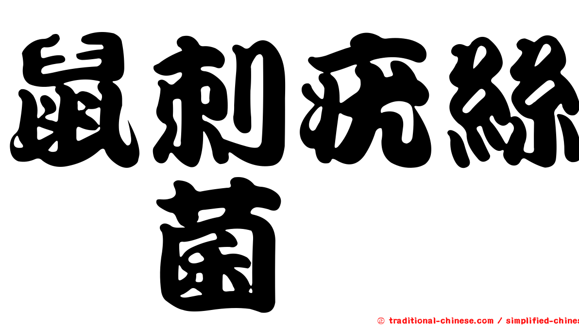 鼠刺疣絲孢菌