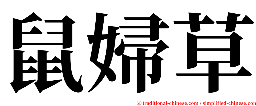 鼠婦草 serif font