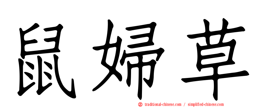 鼠婦草