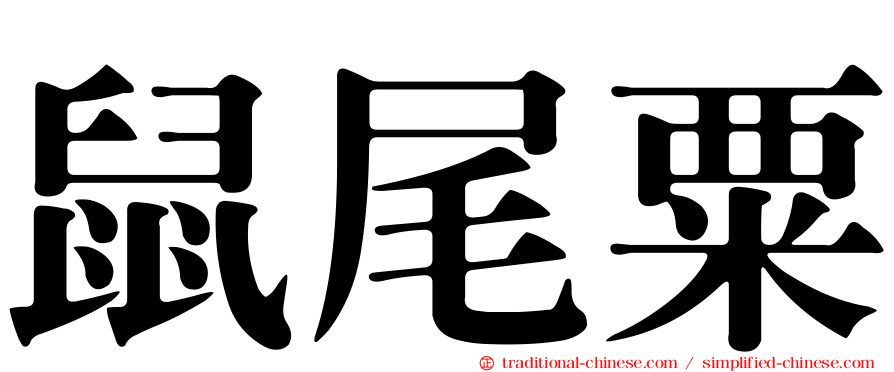 鼠尾粟