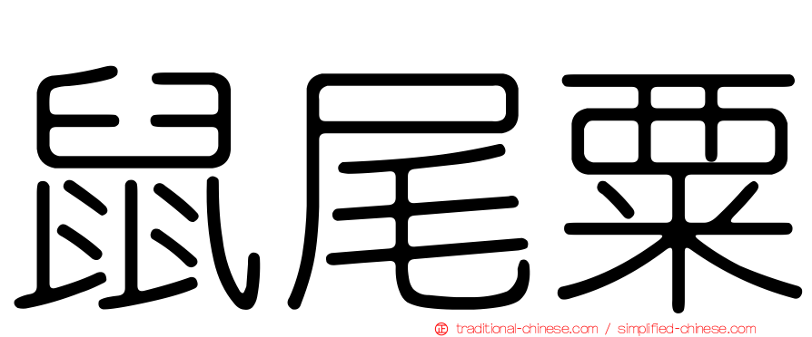 鼠尾粟