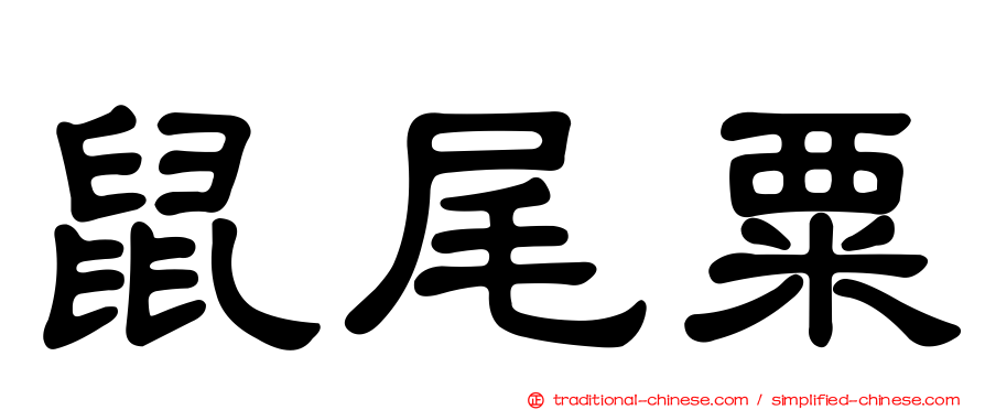 鼠尾粟