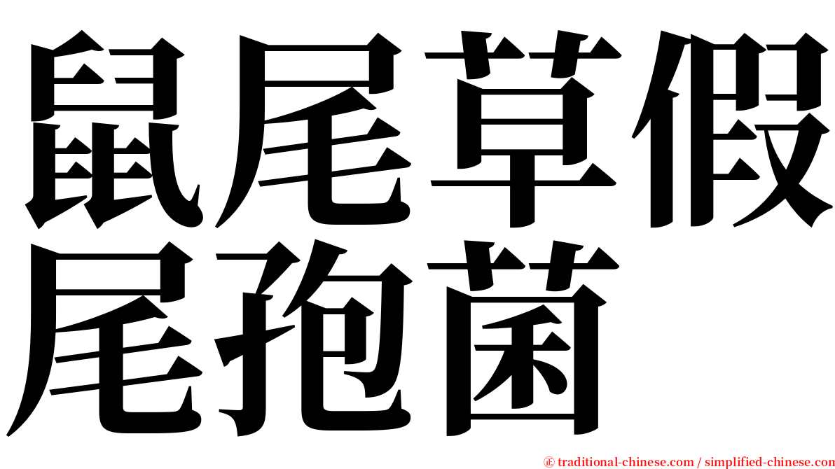 鼠尾草假尾孢菌 serif font