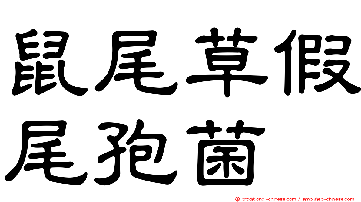 鼠尾草假尾孢菌