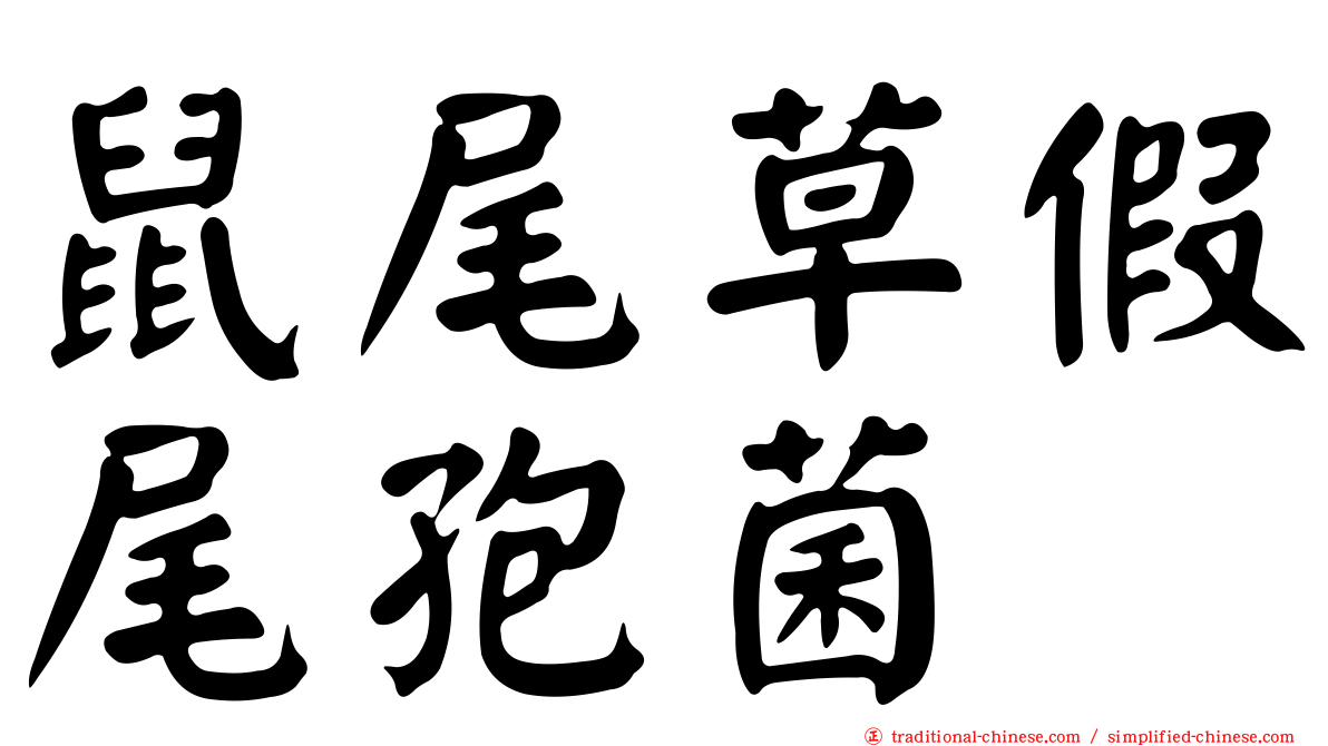 鼠尾草假尾孢菌