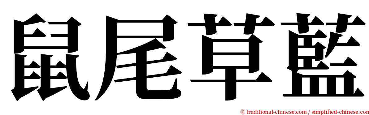 鼠尾草藍 serif font