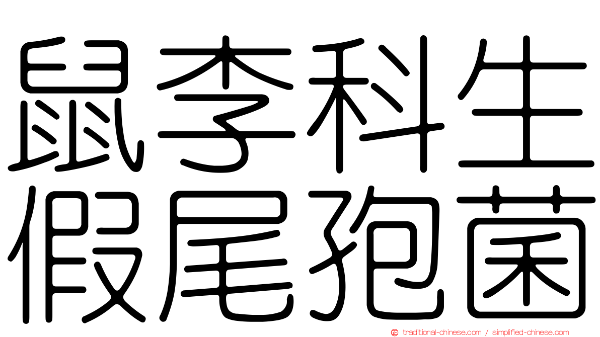 鼠李科生假尾孢菌
