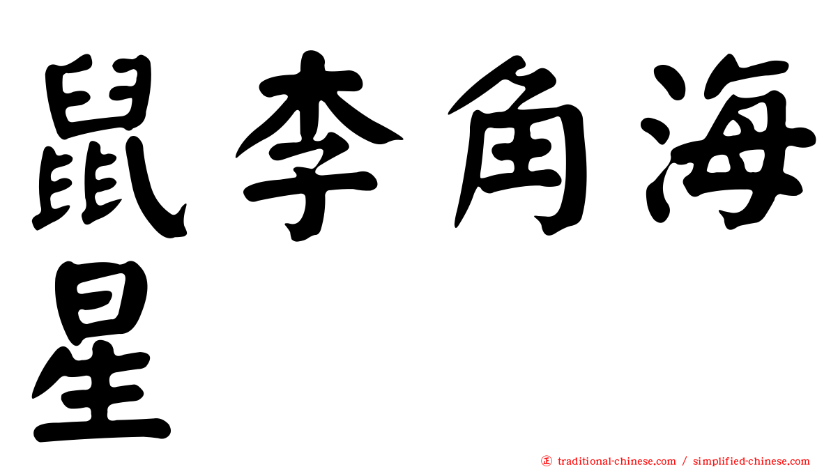 鼠李角海星