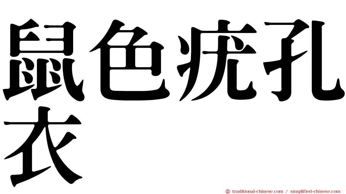 鼠色疣孔衣