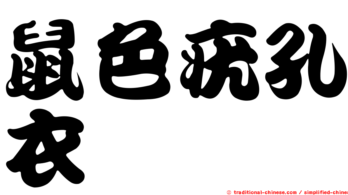 鼠色疣孔衣