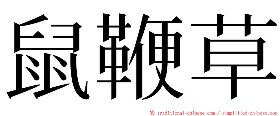 鼠鞭草 ming font