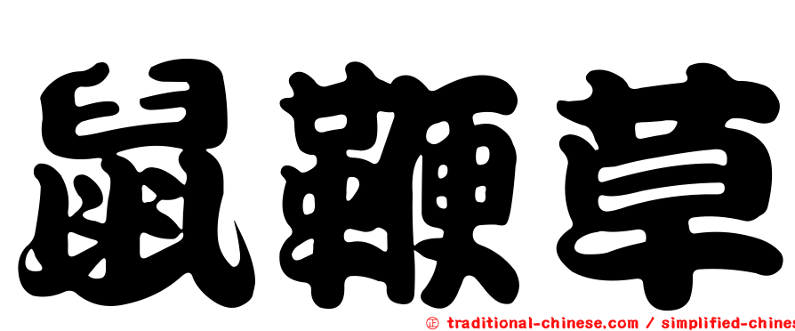 鼠鞭草