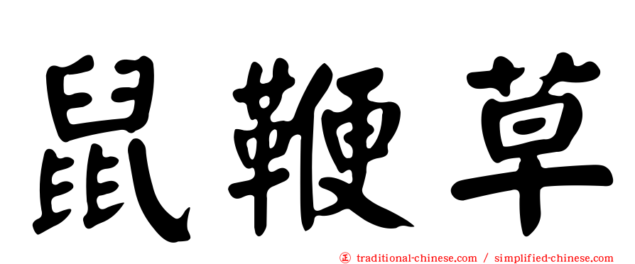 鼠鞭草