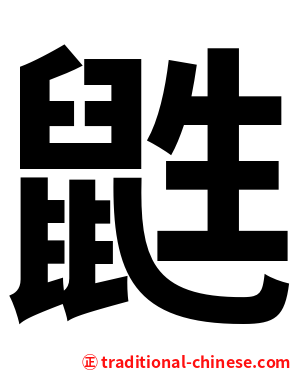 鼪