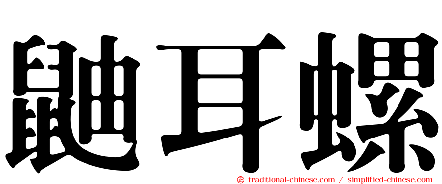 鼬耳螺